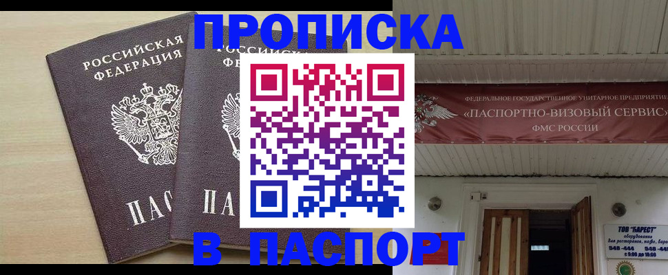 прописка поиск в Бийске